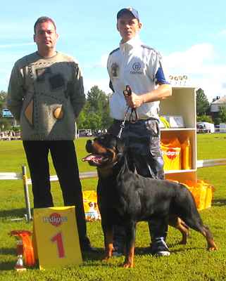 Черный Легион Крафт