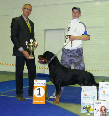 Черный Легион Крафт