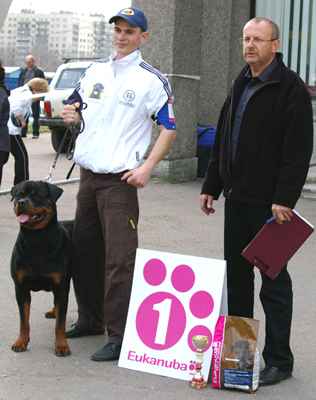 Черный Легион Сталкер